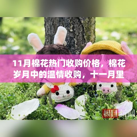 11月棉花收购热门行情，温情织梦时光的友情见证