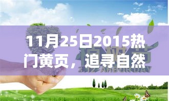 探寻自然秘境的心灵之旅，记心中的宁静与启程的日期——11月25日热门黄页