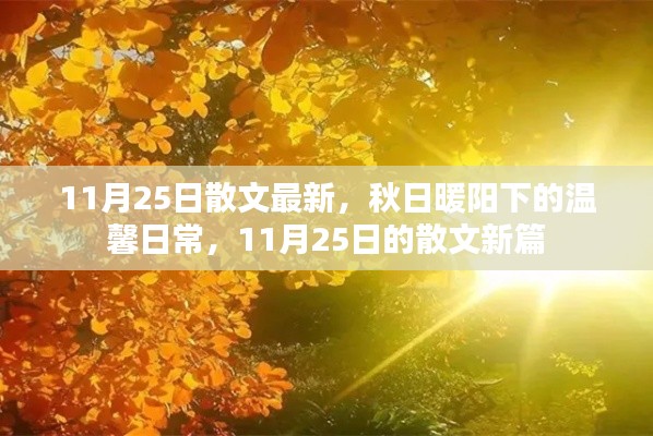 秋日暖阳下的温馨日常，最新散文新篇分享