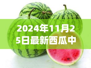 西瓜中毒事件揭秘，意外背后的友情与陪伴