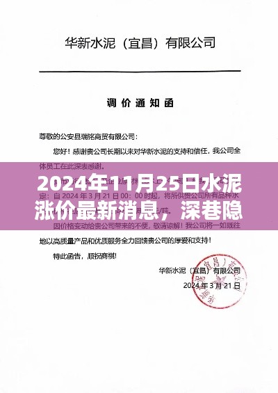 深巷隐香，水泥涨价背后的独特小店故事，最新消息发布于2024年11月25日