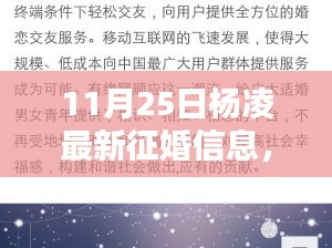 杨凌特色小店征婚记，寻觅巷弄深处的缘分，爱在独特环境中绽放