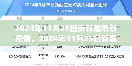 2024年11月25日新疆疫情最新动态与多元观点探讨