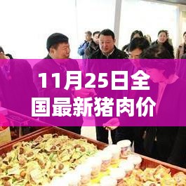 科技引领下的猪肉价格新纪元，全国最新猪肉价格追踪体验报告（11月25日）