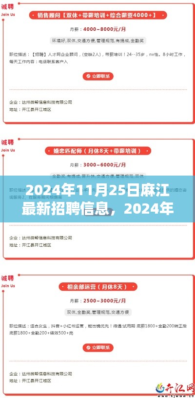 2024年麻江最新招聘信息全攻略，获取与应聘指南（初学者与进阶用户必备）