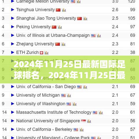 2024年11月25日国际足球排名更新及解析