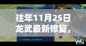 往年11月25日龙武最新修复深度解析与观点探讨