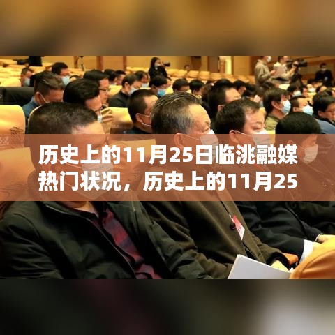 历史上的11月25日临洮融媒热门状况揭秘与深度分析