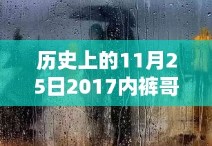 历史上的11月25日2017内裤哥热门作品，探秘小巷深处的秘密宝藏，内裤哥与历史内裤时光馆的奇妙邂逅