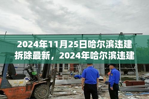 哈尔滨重塑城市风貌，法治精神下的违建拆除最新动态（2024年）