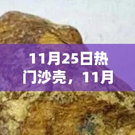 11月25日热门沙壳全面评测与介绍