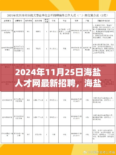 2024年11月25日海盐人才网最新招聘及平台深度评测报告