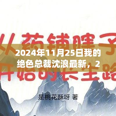 我的绝色总裁沈浪最新篇章揭晓（2024年11月25日更新）