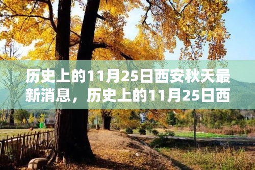 历史上的11月25日西安秋意浓，最新消息与观点探析