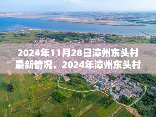 2024年漳州东头村最新探索指南，初学者的完美入门手册