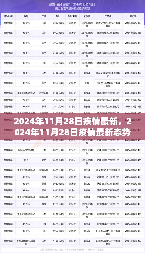 2024年11月28日疫情最新态势分析与观点阐述