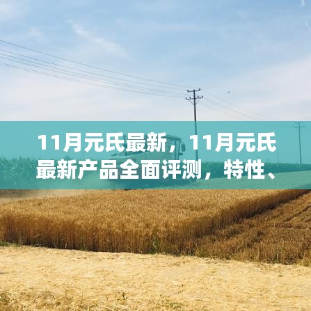 11月元氏最新产品全面评测，特性、体验、竞争分析与用户群体深度剖析