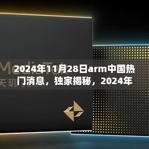 2024年11月28日arm中国热门消息，独家揭秘，2024年11月28日ARM中国重磅资讯深度解析