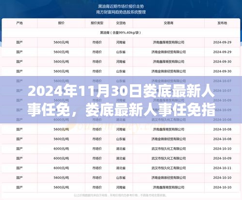 娄底最新人事任免动态，掌握人事变动的关键步骤（2024年11月）