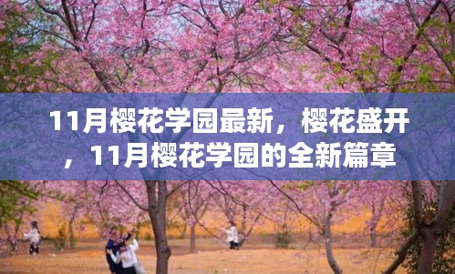 11月樱花学园全新篇章，樱花盛开之际