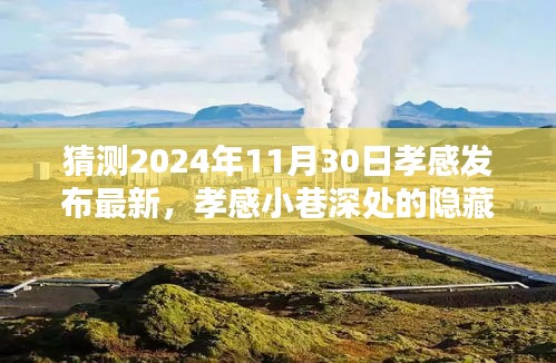 孝感小巷深处的隐藏瑰宝，最新特色小店探秘之旅（2024年11月30日）