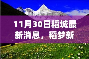 稻梦新篇，11月30日稻城最新消息揭示启示与成长力量