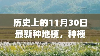 历史上的11月30日，新种地梗之旅启程，探寻自然美景的征程