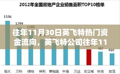 英飞特公司往年11月30日资金流向深度解析，揭秘资金流向细节