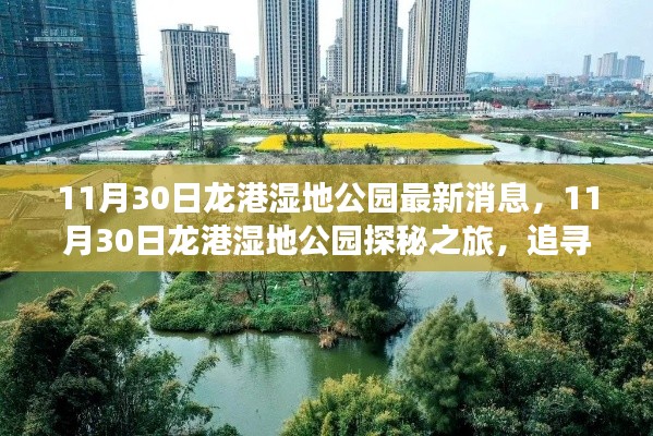 11月30日龙港湿地公园探秘，追寻自然之美，宁静港湾的发现之旅