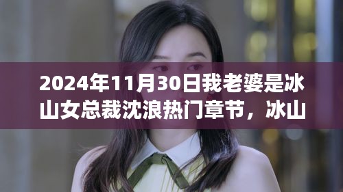 冰山女总裁沈浪的奇妙心灵之旅，寻找心灵宁静的冬日奇迹（2024年）