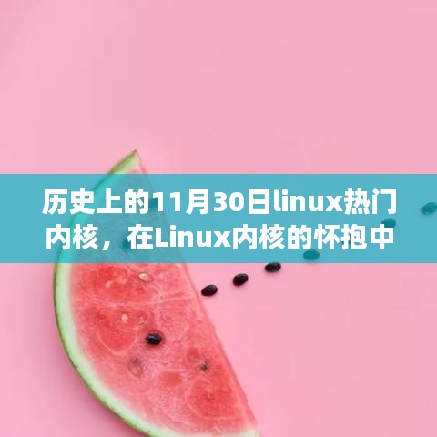 Linux内核下的友情与技术，一个温馨故事，历史上的重要时刻回顾（11月30日篇）