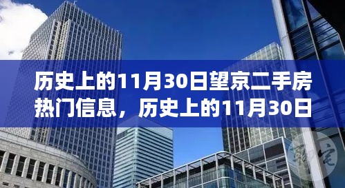 历史上的11月30日，望京二手房市场热门信息深度解析