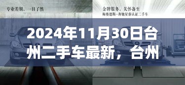 台州二手车市场最新动态，科技新星闪耀，探索台州二手车高科技产品之旅（2024年11月30日）