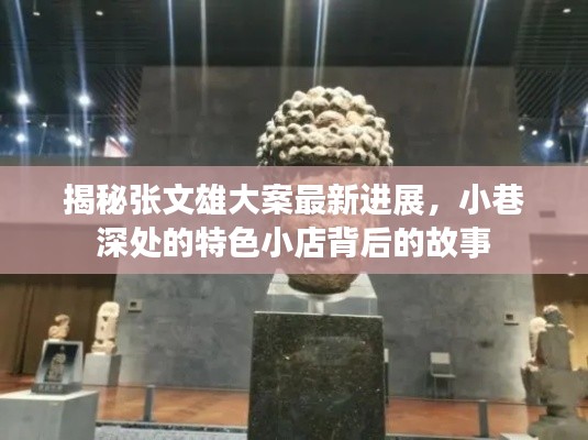 揭秘张文雄大案最新进展与特色小店背后的故事