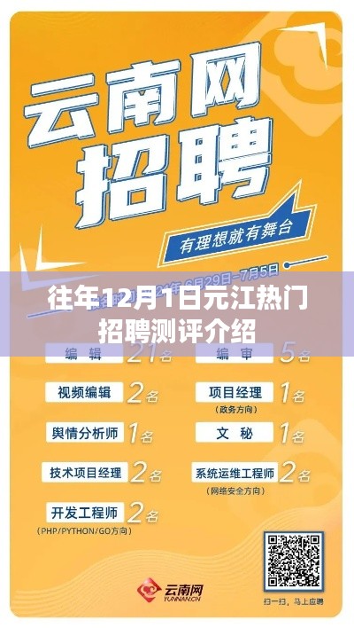 元江热门招聘测评介绍，历年12月1日深度解析