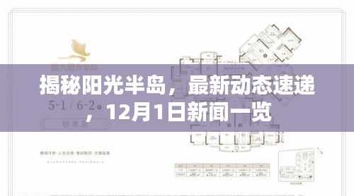 阳光半岛最新动态揭秘，12月1日新闻速递全览