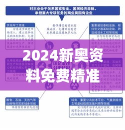 2024新奥资料免费精准109335期,专家解说解释定义_FZN85.138随行版