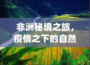 疫情下的非洲秘境之旅，自然美景探索与内心平和的寻找