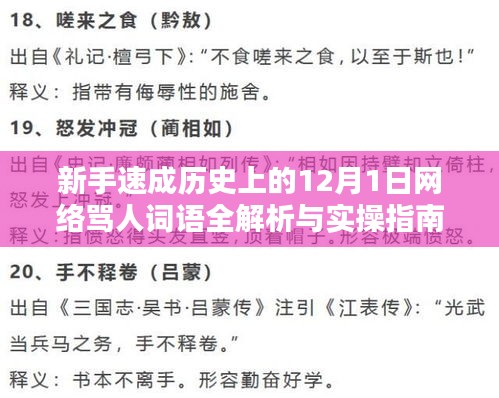 历史上的网络骂人词语全解析与实操指南，新手速成指南（日期为12月1日）