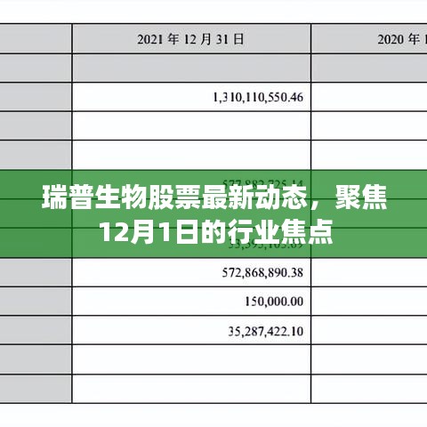 瑞普生物股票最新动态，聚焦行业焦点，深度解读十二月一日市场趋势