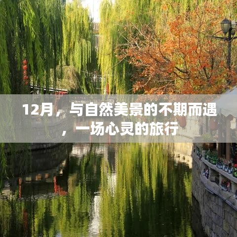 12月心灵之旅，与自然美景的不期而遇