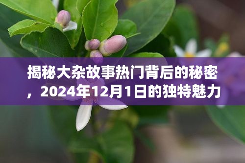 揭秘大杂故事热门背后的秘密，探寻独特魅力之源——2024年12月1日纪实报道