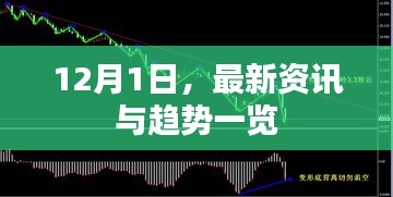 12月1日最新资讯与趋势概览