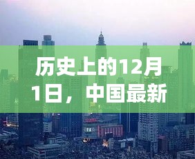 2024年12月1日 第2页