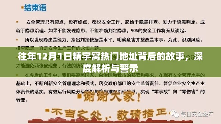 深度解析，精字窝热门地址背后的故事与警示，历年12月1日回顾