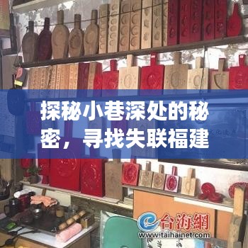 探秘小巷深处，福建女教师失联线索与独特小店的故事探寻