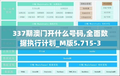 337期澳门开什么号码,全面数据执行计划_M版5.715-3