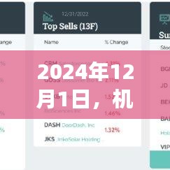 机构持仓背后的温情故事，探寻背后的故事与力量（2024年12月1日）