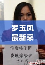 罗玉凤专访揭秘，轻松掌握采访技巧与流程的全程追踪报道