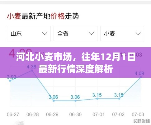 河北小麦市场历年12月1日最新行情深度解析报告